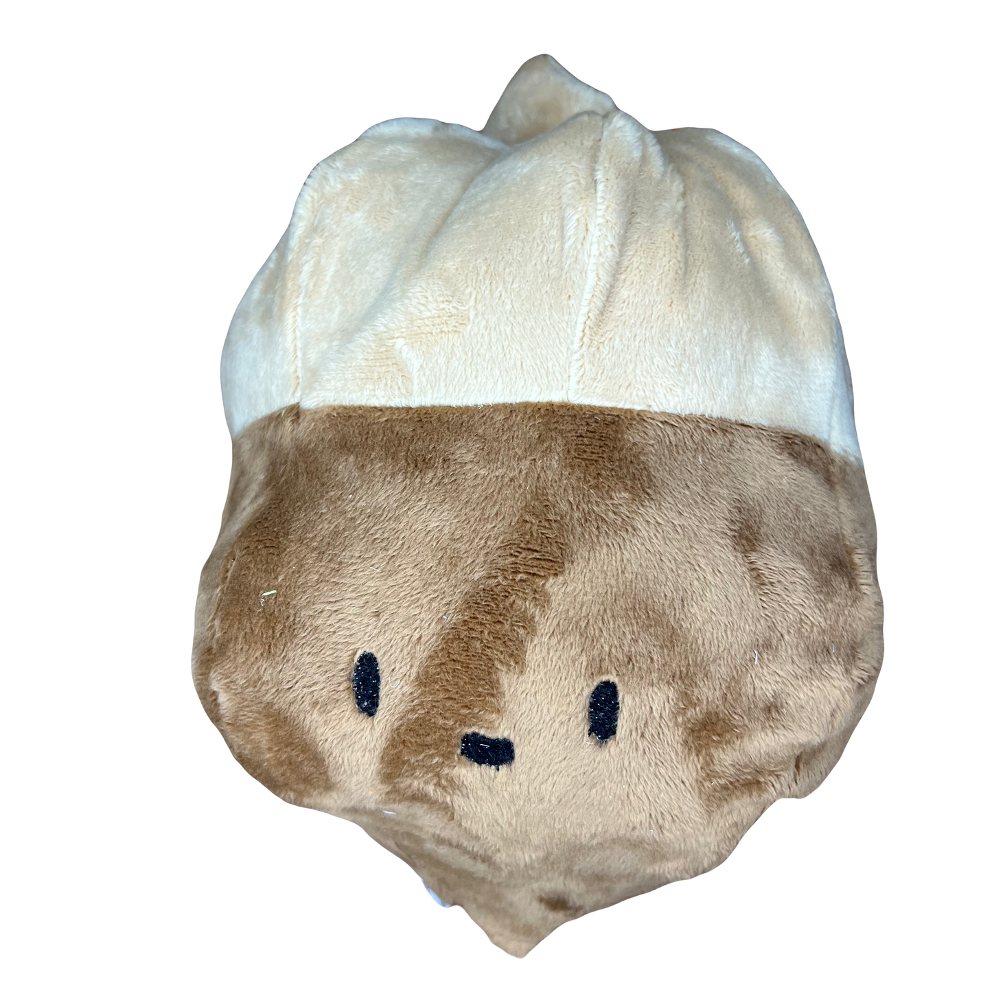 Acorn