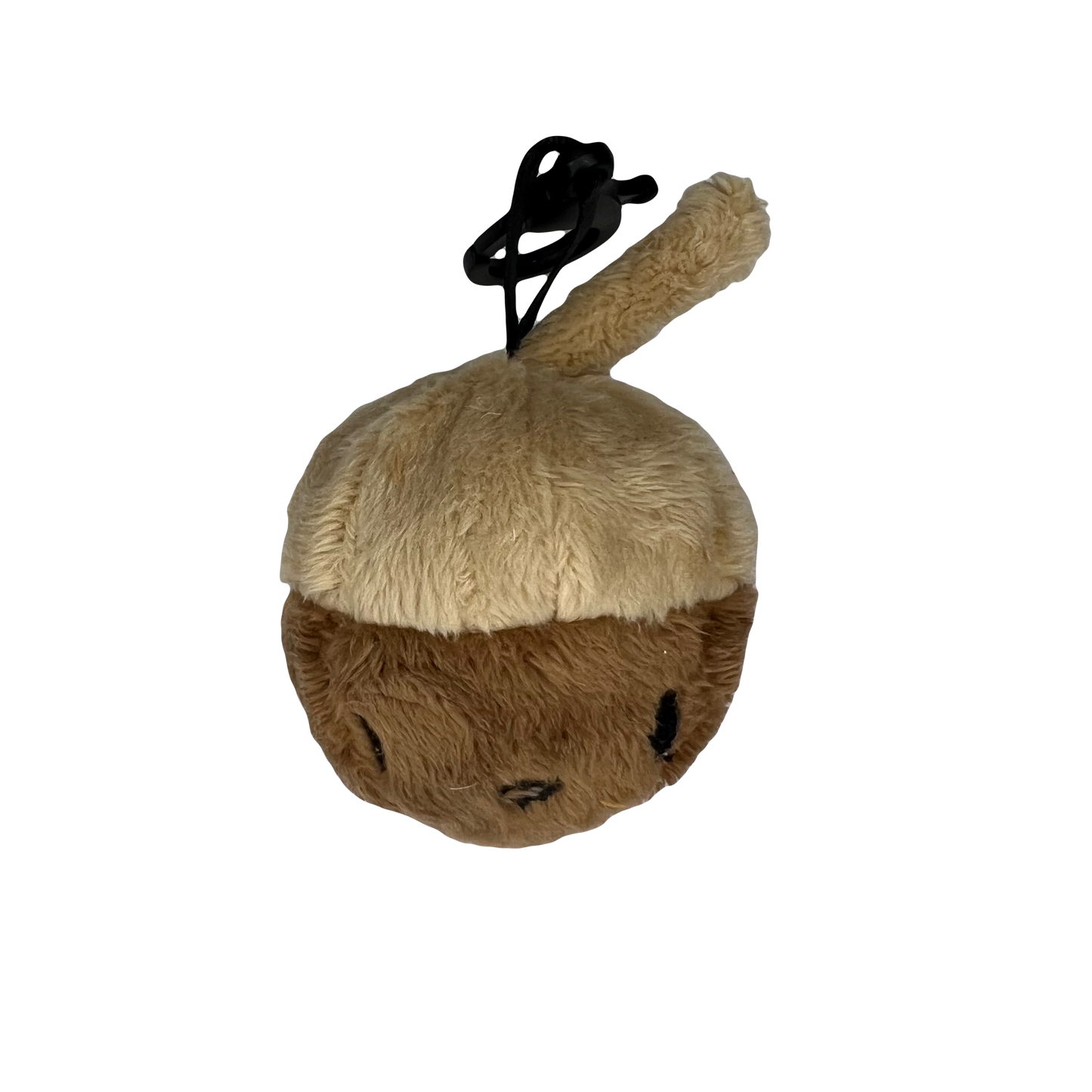 Small Acorn