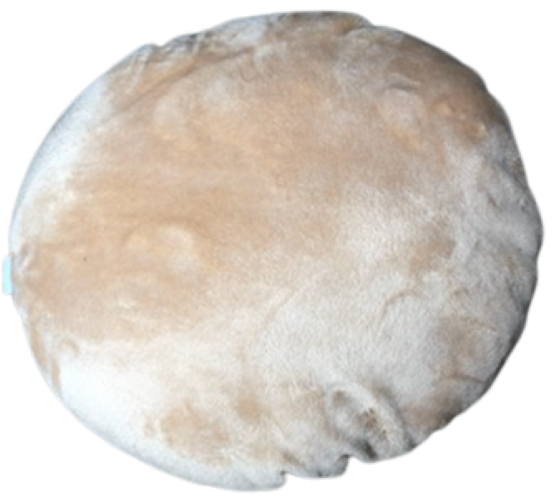 Large Cookie