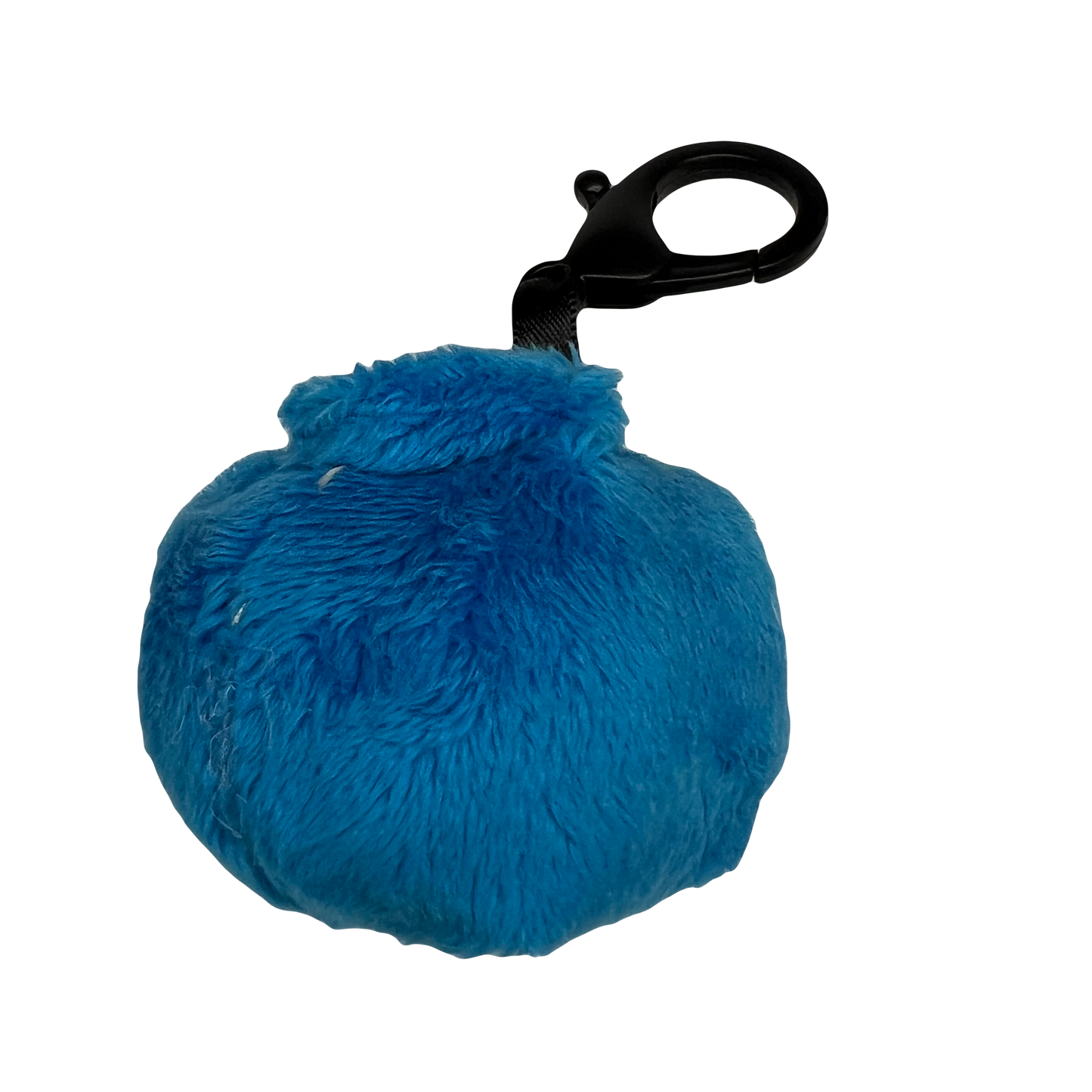 Small Blueberry