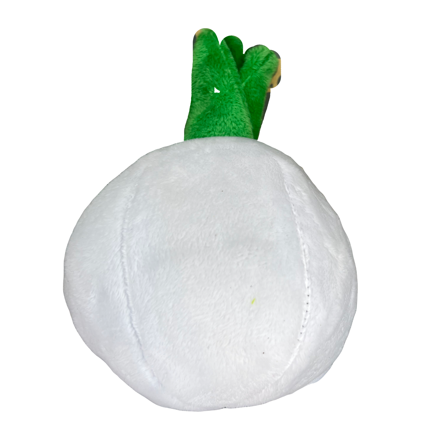 Onion