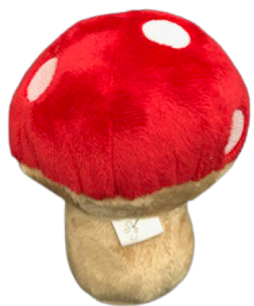 Mushroom