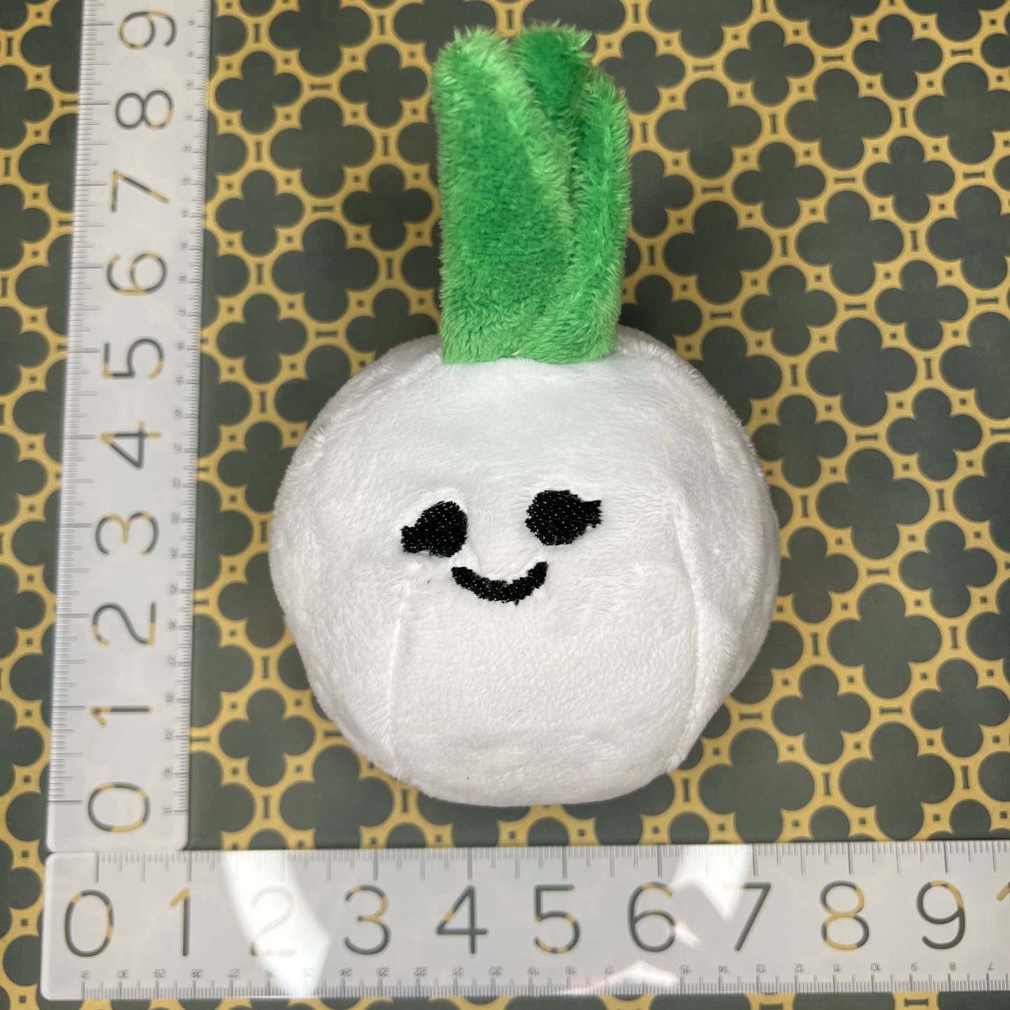 Onion