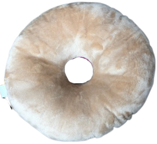 Large Donut