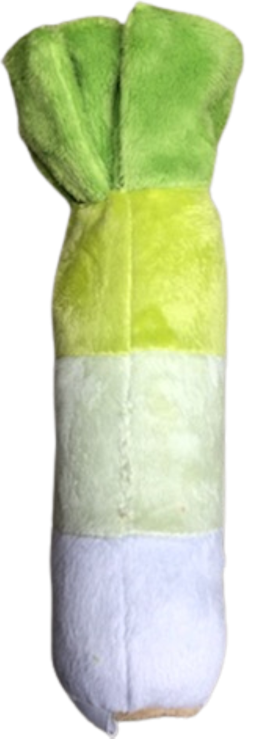 Leek